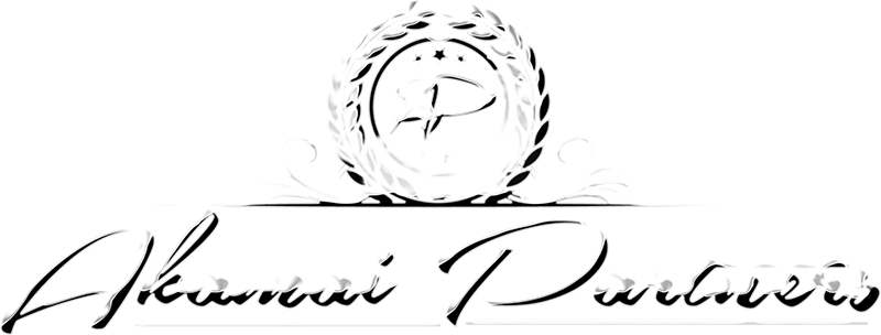 Akamai Partners silver logo